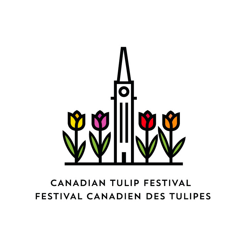 The Tulip Festival